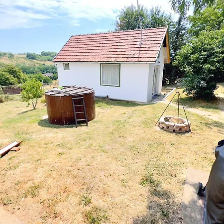 Eletviraga Vendeghaz * Balvanyos